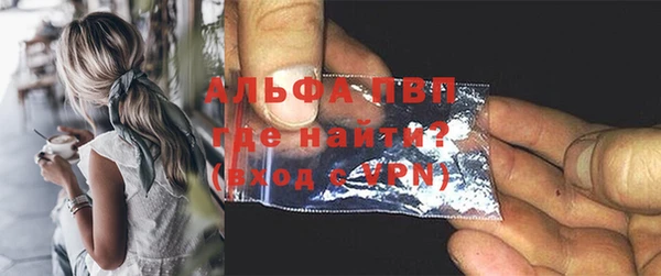 прущие грибы Кулебаки