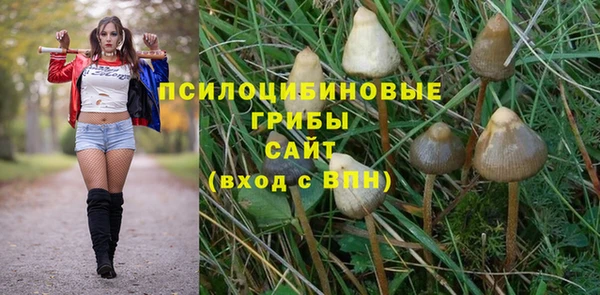 мескалин Краснослободск