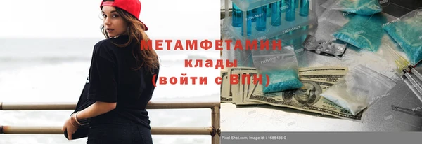 прущие грибы Кулебаки