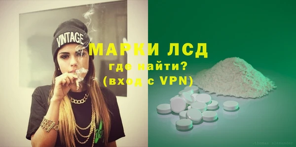 прущие грибы Кулебаки