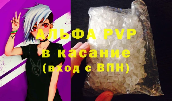 прущие грибы Кулебаки