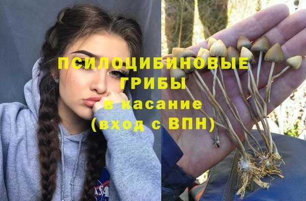 прущие грибы Кулебаки