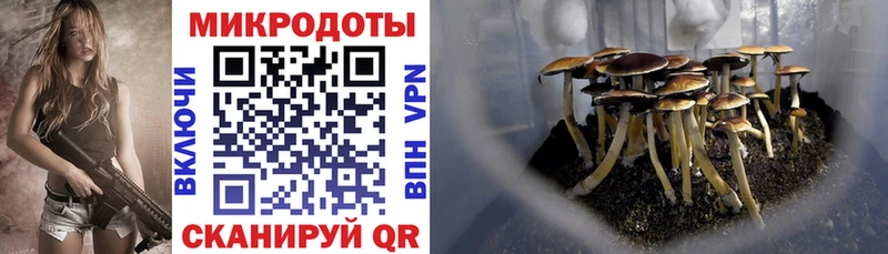 Псилоцибиновые грибы MAGIC MUSHROOMS Липки